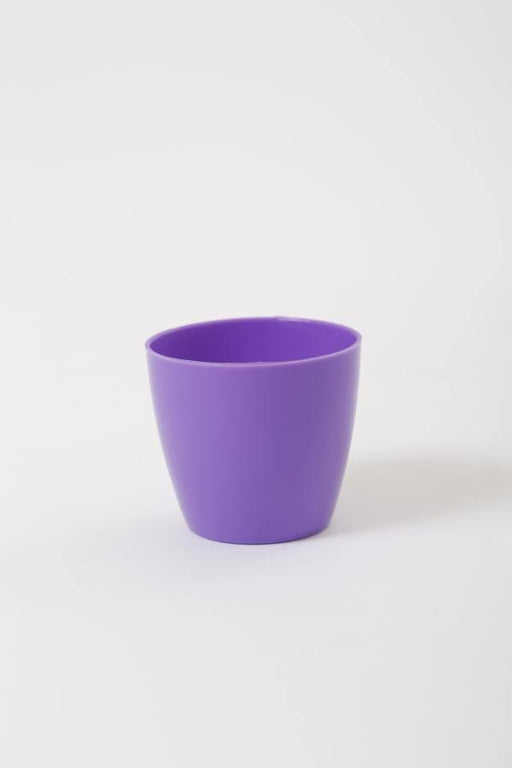 Purple Pots for Plants | 2.5 Inch Violet Pot | Chhajed Garden