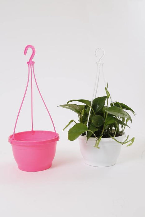 8 Inch Hanging Pot Pink (Pack of 6) - CGASPL
