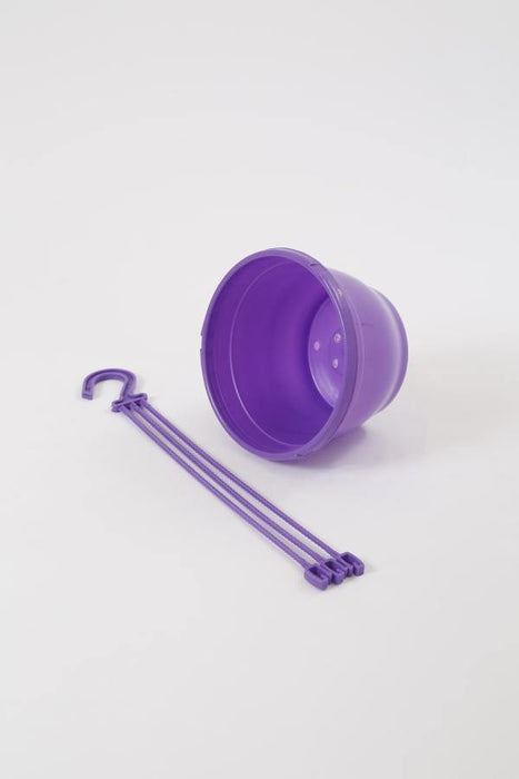 8 Inch Hanging Pot Violet (Pack of 6) - CGASPL