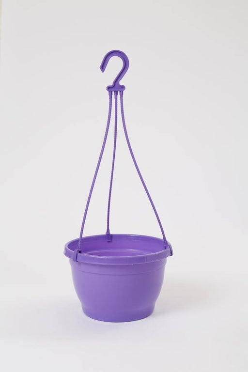 8 Inch Hanging Pot Violet (Pack of 6) - CGASPL