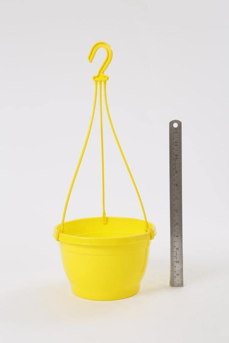 8 Inch Hanging Pot Yellow (Pack of 6) - CGASPL