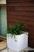 Illuminated Planter 9152