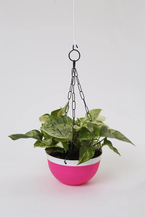 Double Color Small Hanging Pot (Pink) - CGASPL