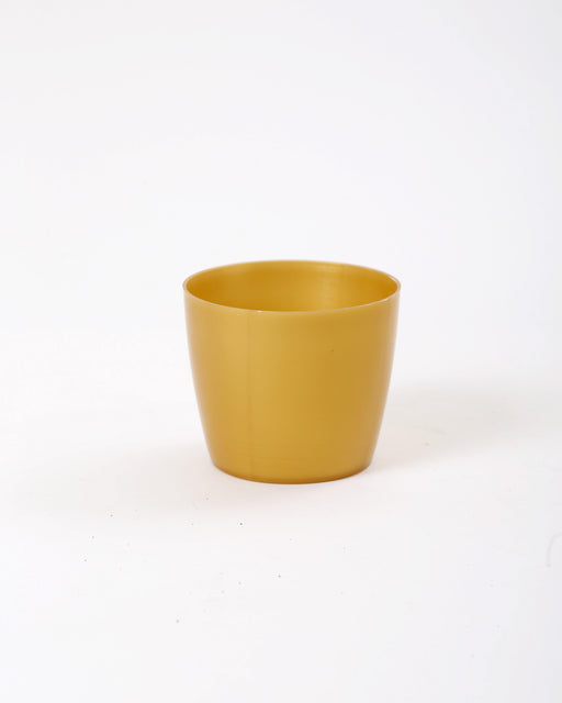 3.5 Inch Gold Singapore Pot (Pack of 12)