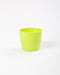 3.5 Inch Green Singapore Pot (Pack of 12)