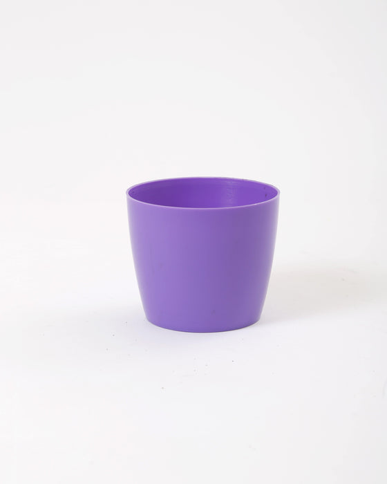 3.5 Inch Violet Singapore Pot (Pack of 12)