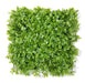 Artificial Vertical Garden  3506-O for Indoors only 50 cm*50 cm  (Pack of 29 Tiles  - Area covered  78.3 Sq. ft ) - CGASPL