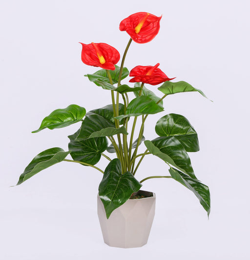 Artificial 3M Anthurium Plant with Pot - 12" (Pack of 3  Plants ) - CGASPL