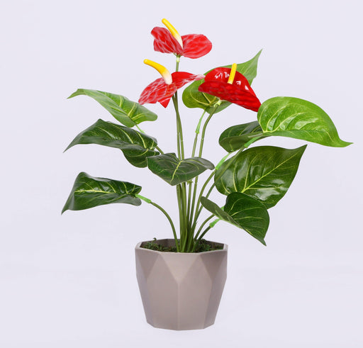 Artificial 3S Anthurium Plant with Pot - 10" (Pack of 3  Plants ) - CGASPL