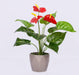 Artificial 3S Anthurium Plant with Pot - 10" (Pack of 3  Plants ) - CGASPL