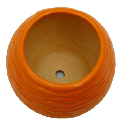 Elegant small ceramic pot for indoor plant decor