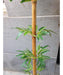 Artificial Bamboo Shoot - CGASPL