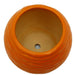 Elegant small ceramic pot for indoor plant decor