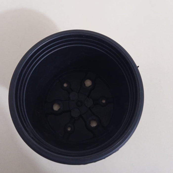 3" Sunrise Pot Black (8.5 cm)
