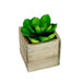 Square Wooden Planter ( Pack of 4 ) - CGASPL