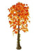 5 Feet Mapple Tree 4622 - CGASPL