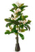 Artificial Small Frangipani Tree with Pink Flowers  , Height -3.5 ft ( Pack of 2 Plants ) - CGASPL