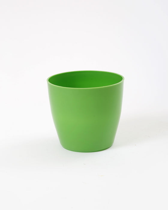 4 Inch Green Singapore Pot (Pack of 12)