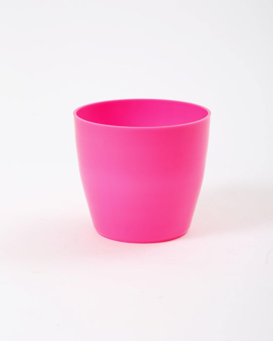 4 Inch Pink Singapore Pot (Pack of 12)