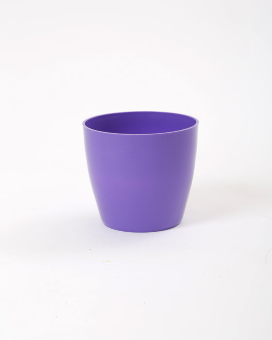 4 Inch Violet Singapore Pot (Pack of 12)