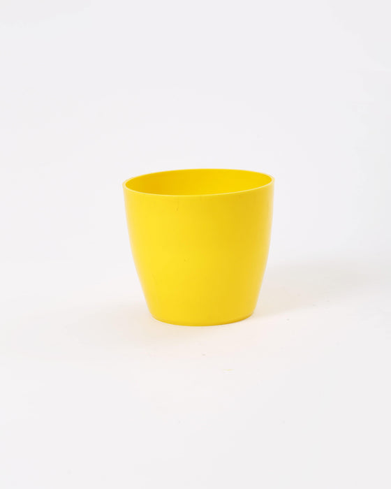 4 Inch Yellow Singapore Pot (Pack of 12)