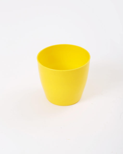 4 Inch Yellow Singapore Pot (Pack of 12) - CGASPL