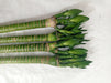Lotus Bamboo Live Plants 50 cm (12 Sticks) - ChhajedGarden.com