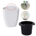 White-White Self Watering Hanging Planter Flower Pot - CGASPL