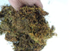 Sphagnum Moss 2 kg -Growing Medium for Plants | Chhajed Garden