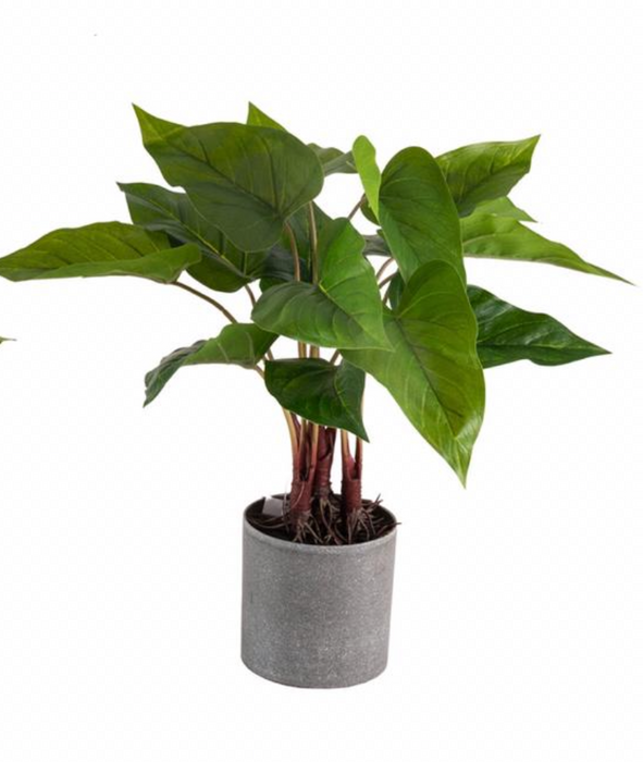 Artificial Diffen & Pothos in Grey Pot , Height -1.5 ft ( Pack of 6 Plants) - CGASPL