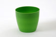 5 Inch Green Singapore Pot (Pack of 12)
