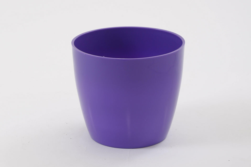 5 Inch Violet Singapore Pot (Pack of 12)