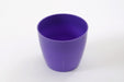 5 Inch Violet Singapore Pot (Pack of 12) - CGASPL