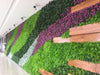 Artificial Decorative DIY Green Wall Installation Hedge with Flowers 1mtr x 1mtr (10.76 Sq.ft) (3600 - GG) - CGASPL