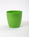 6 Inch Green Singapore Pot (Pack of 12)