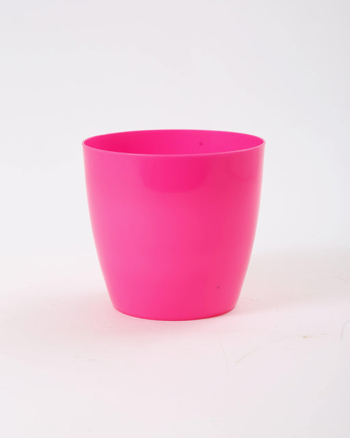 6 Inch Pink Singapore Pot (Pack of 12)
