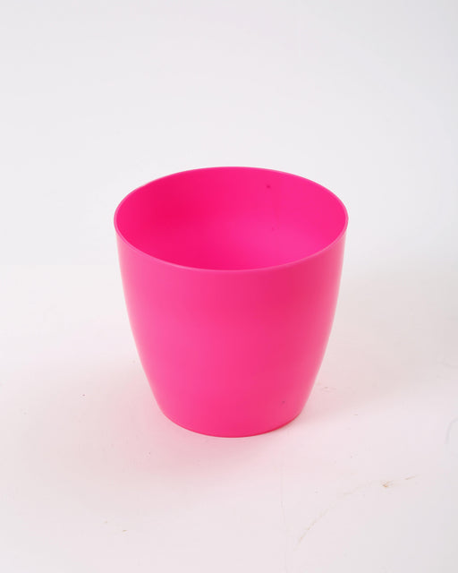 6 Inch Pink Singapore Pot (Pack of 12) - CGASPL
