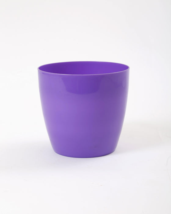 6 Inch Violet Singapore Pot (Pack of 12)