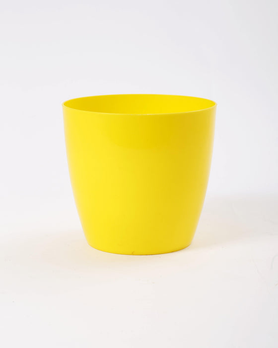 6 Inch Yellow Singapore Pot (Pack of 12)