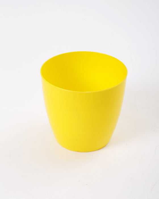 6 Inch Yellow Singapore Pot (Pack of 12) - CGASPL