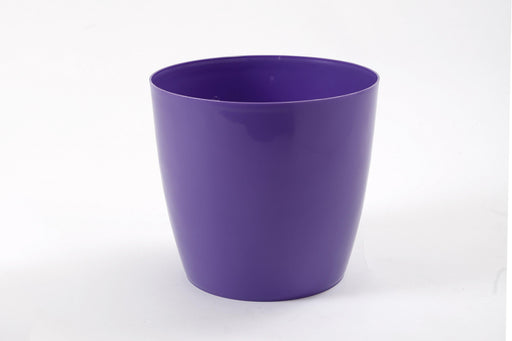 8.5 Inch Violet Singapore Pot (Pack of 12)
