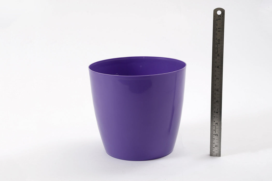 8.5 Inch Violet Singapore Pot (Pack of 12) - CGASPL
