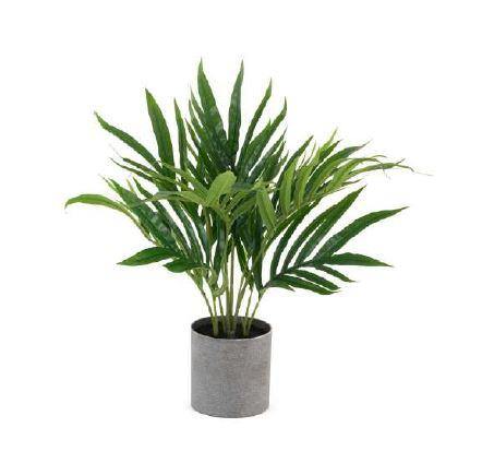 10 Leaves Palm Tree in Pot 8001 - CGASPL