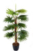Artificial Real Touch Fan Palm Plant ( Without Pot ) , Height -4.5 ft ( Pack of 2 Plants ) - CGASPL