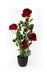 Artificial Velvet Rose Plant in Pot , Height -2.5 ft ( Pack of 2 Plants ) - CGASPL
