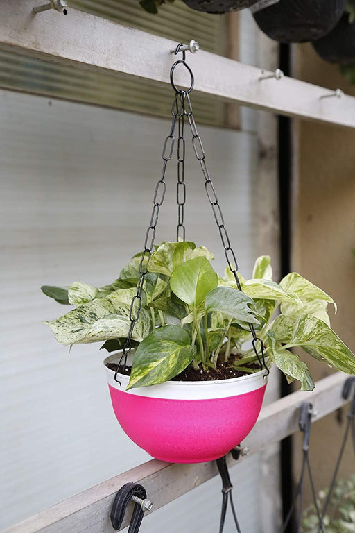 multi coloured hanging plant pots 20 cm Double Color Big Hanging Pot (Multi) Qty