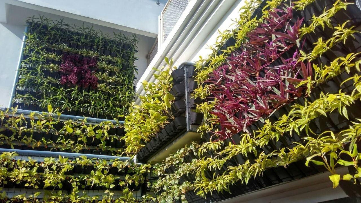 green wall plant pots Vertical Garden Green Wall Panels ( 3 Frames + 9 Pots ) with Self Dril – ChhajedGarden.com
