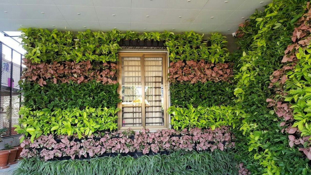 vertical wall hanging plants Vertical Garden Wall Hanging Pot Vertimax Black – ChhajedGarden.com