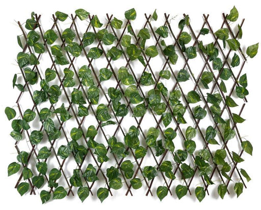 Artificial Small Leaf Money Plant & Lotus Wooden Fence Size-3.5 ft x 4.25 ft  , Area Covered 15 sq ft ( Pack of 2 ) - CGASPL