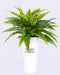 Artificial Board  Grass Plant with  Metal Cone Pot - 3 feet - CGASPL